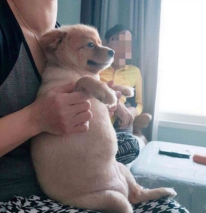 애니멀플래닛