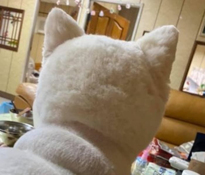 애니멀플래닛