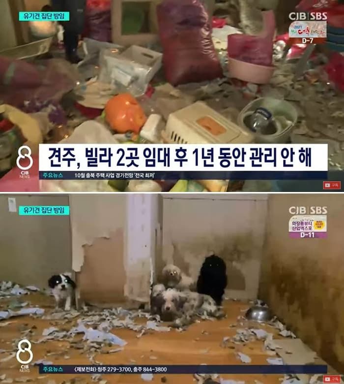 애니멀플래닛