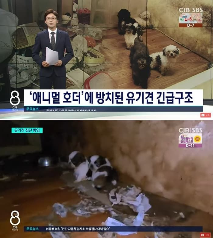 애니멀플래닛
