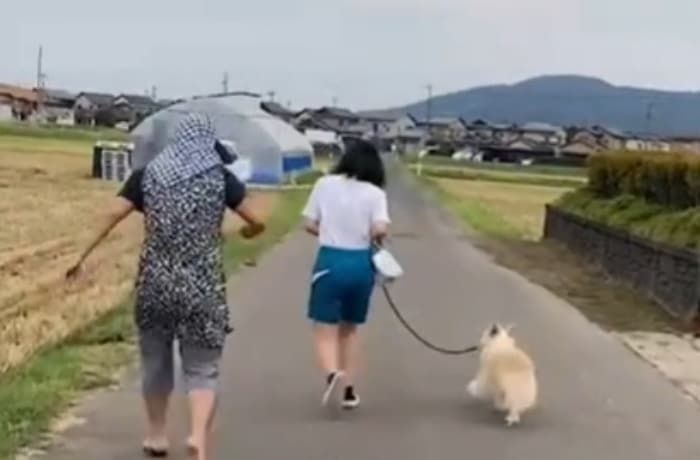 애니멀플래닛