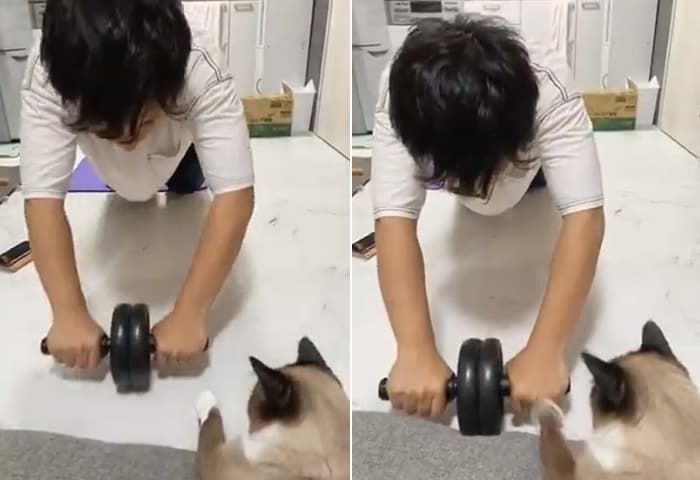 애니멀플래닛