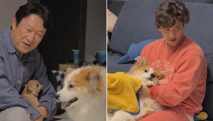 애니멀플래닛