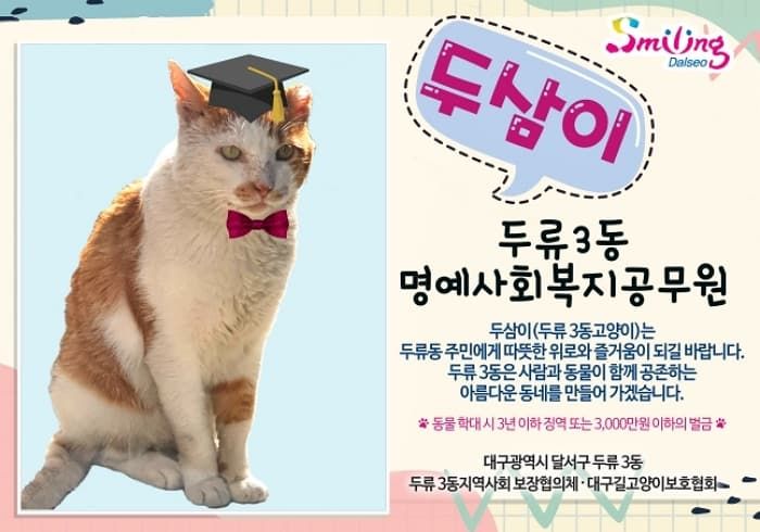 애니멀플래닛