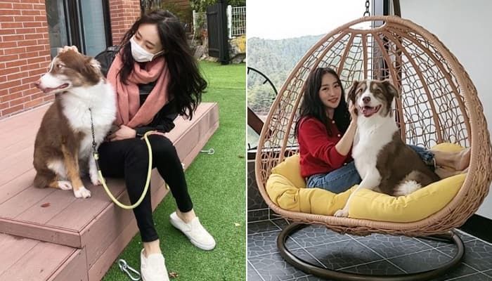 애니멀플래닛