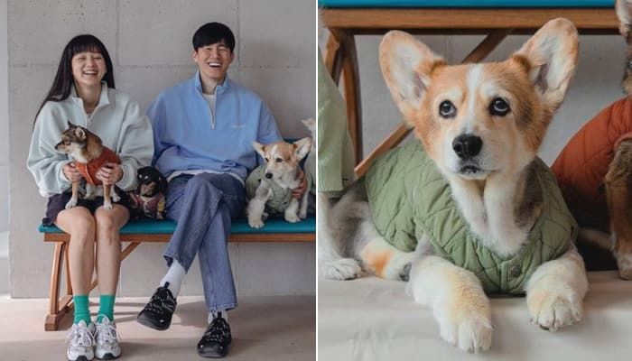 애니멀플래닛