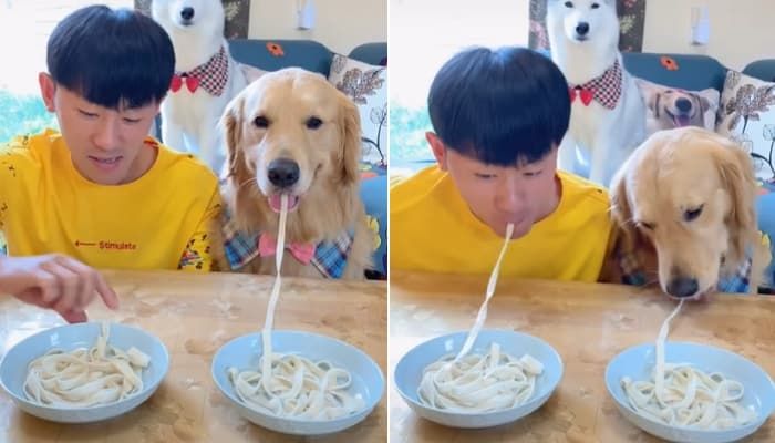 애니멀플래닛