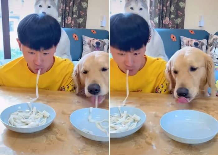 애니멀플래닛