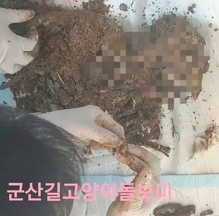 애니멀플래닛