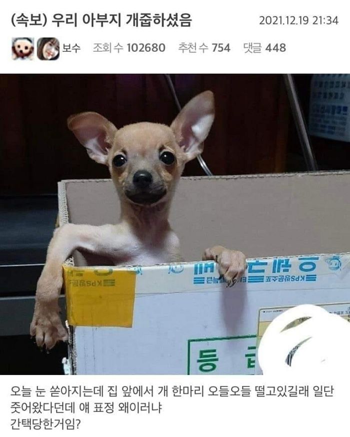 애니멀플래닛
