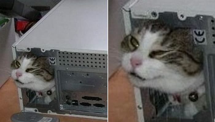 애니멀플래닛