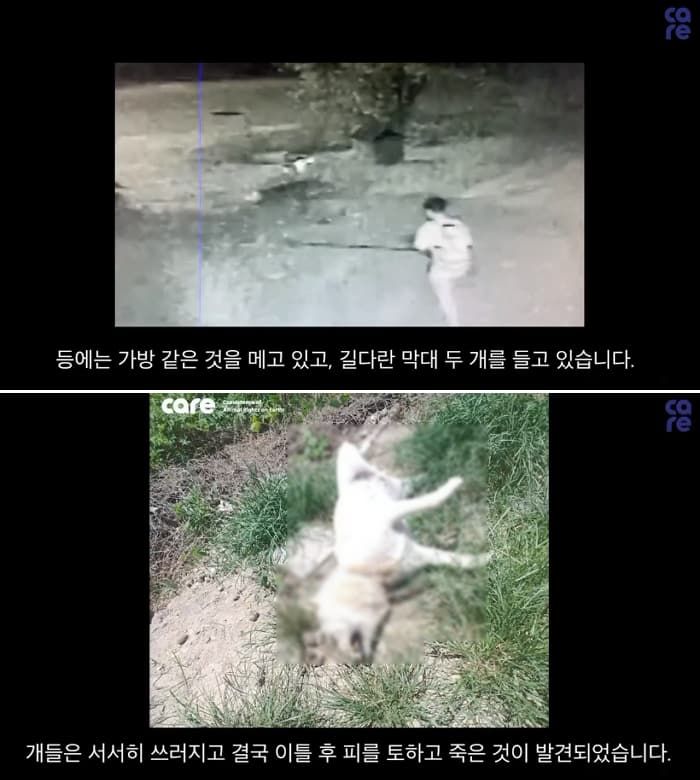 애니멀플래닛