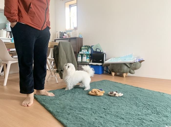 애니멀플래닛