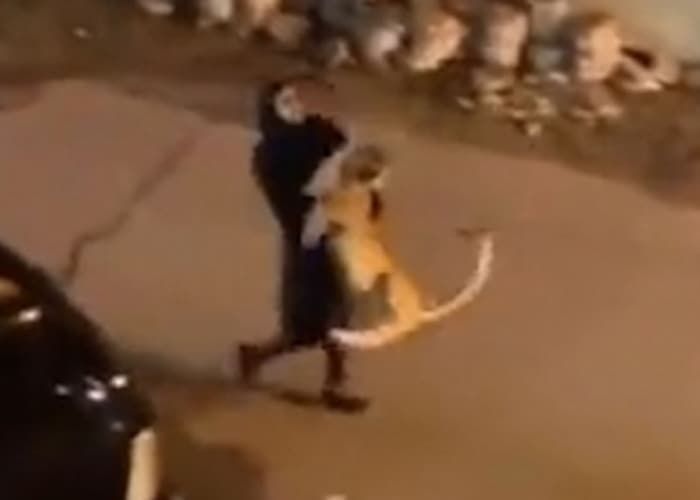 애니멀플래닛
