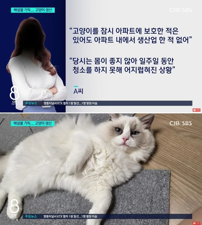 애니멀플래닛