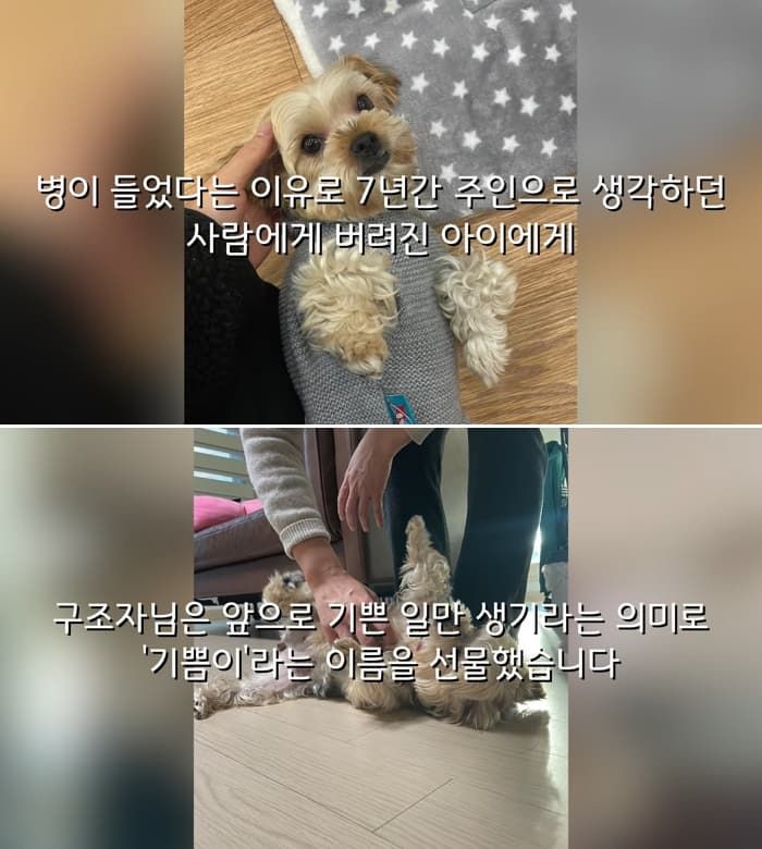 애니멀플래닛