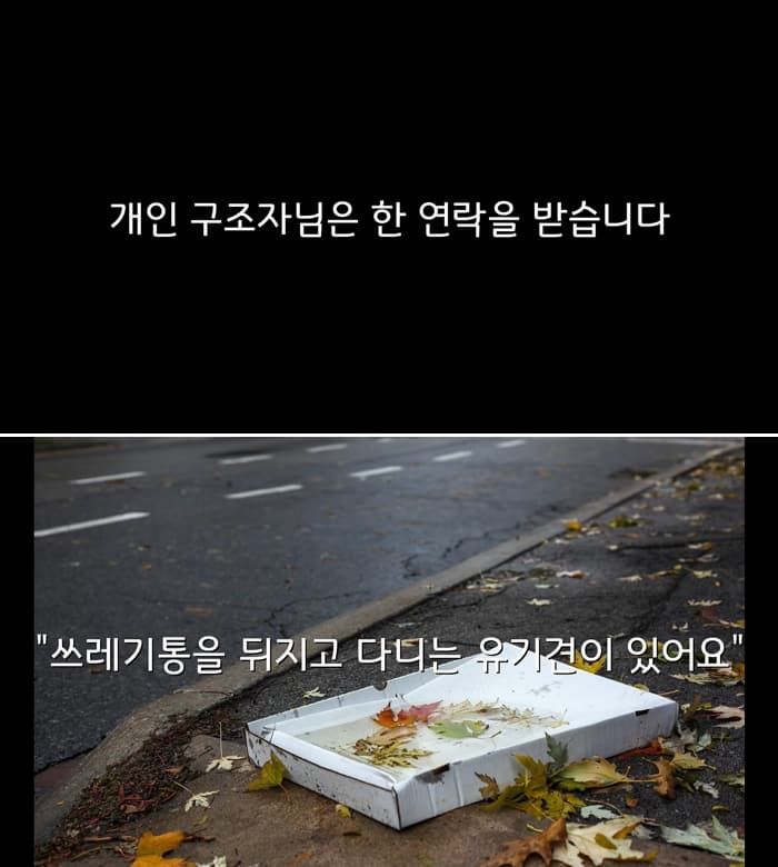 애니멀플래닛
