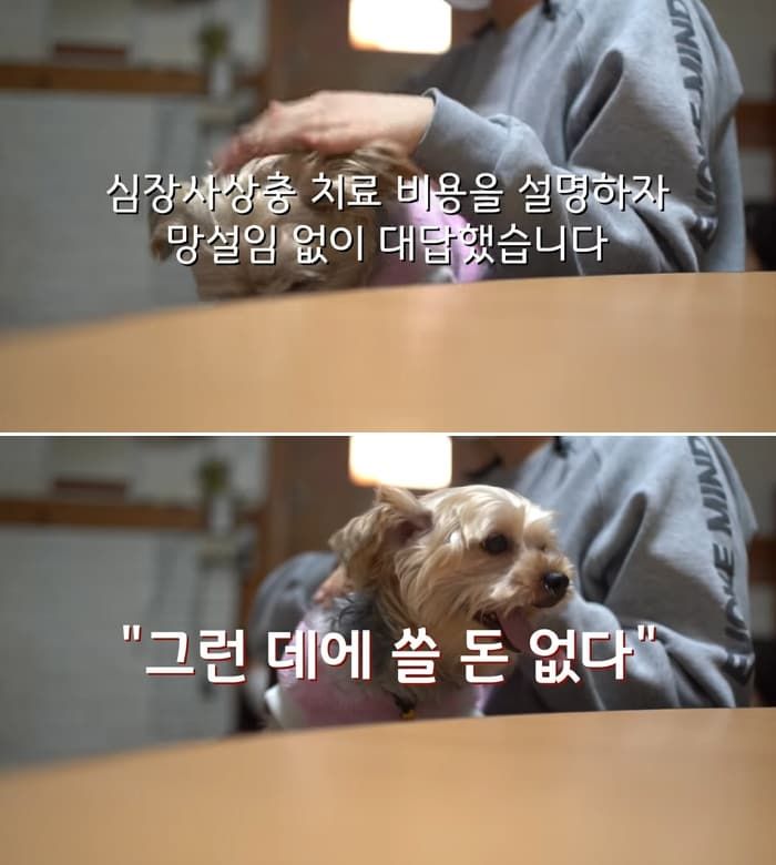 애니멀플래닛