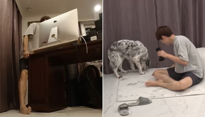 애니멀플래닛