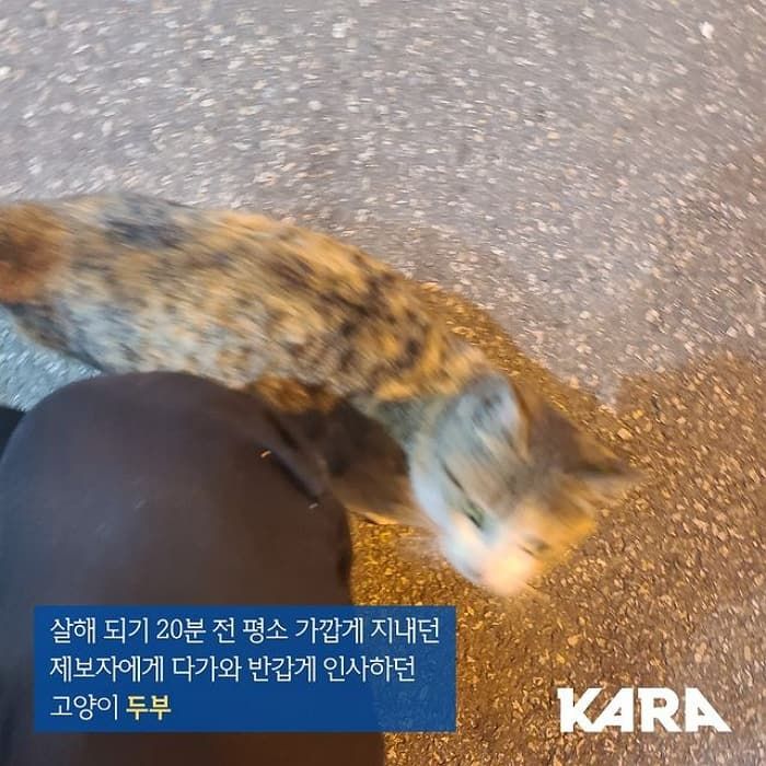 애니멀플래닛