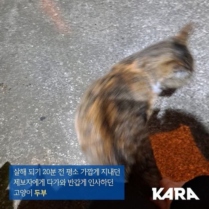 애니멀플래닛