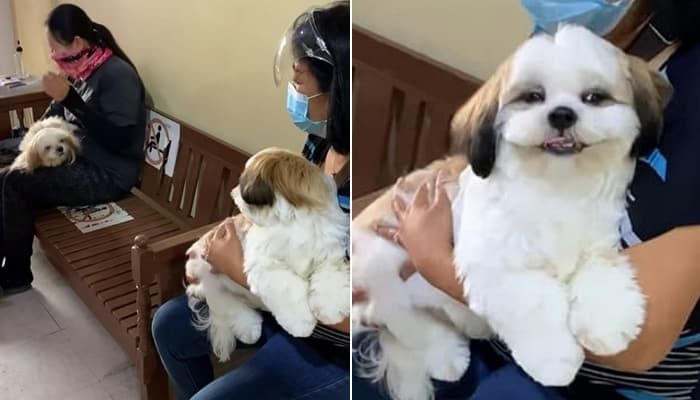 애니멀플래닛