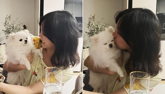 애니멀플래닛