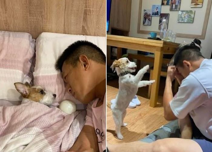 애니멀플래닛