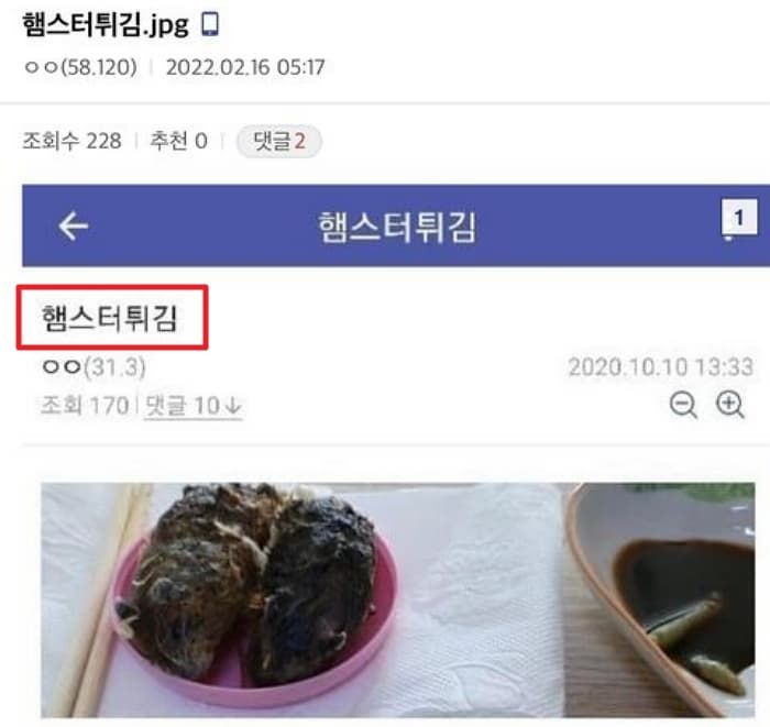 애니멀플래닛