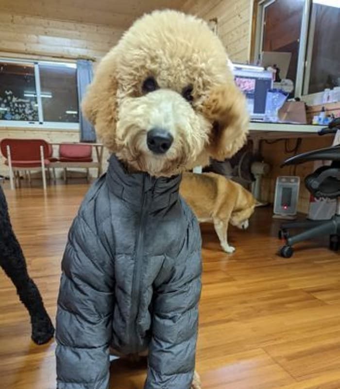 애니멀플래닛