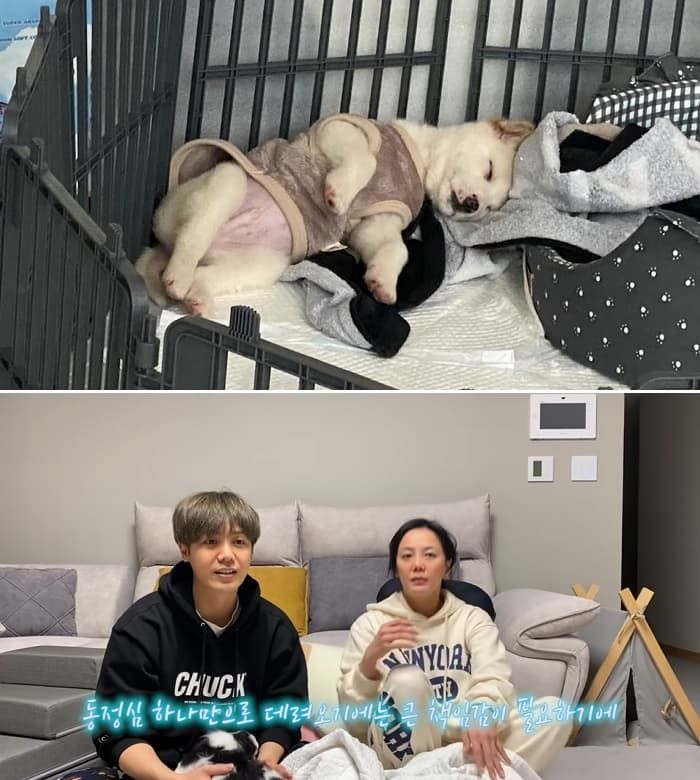 애니멀플래닛