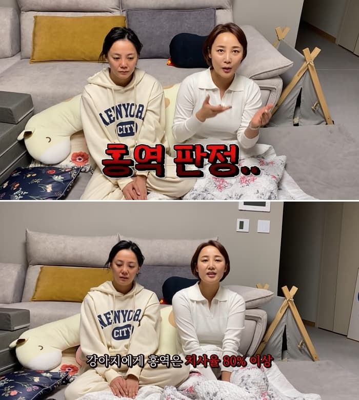 애니멀플래닛