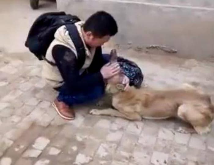 애니멀플래닛
