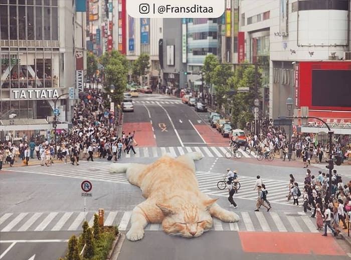 애니멀플래닛