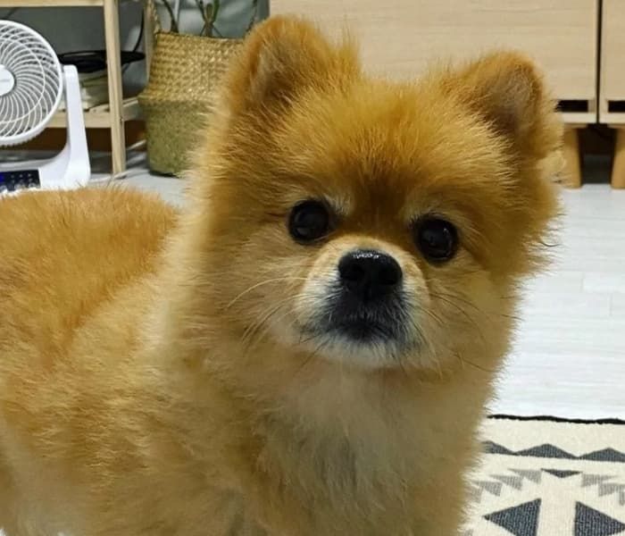 애니멀플래닛