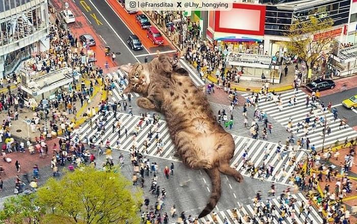 애니멀플래닛