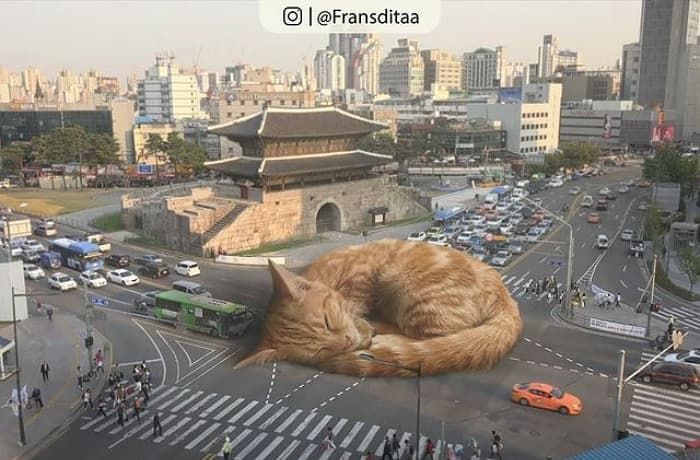 애니멀플래닛