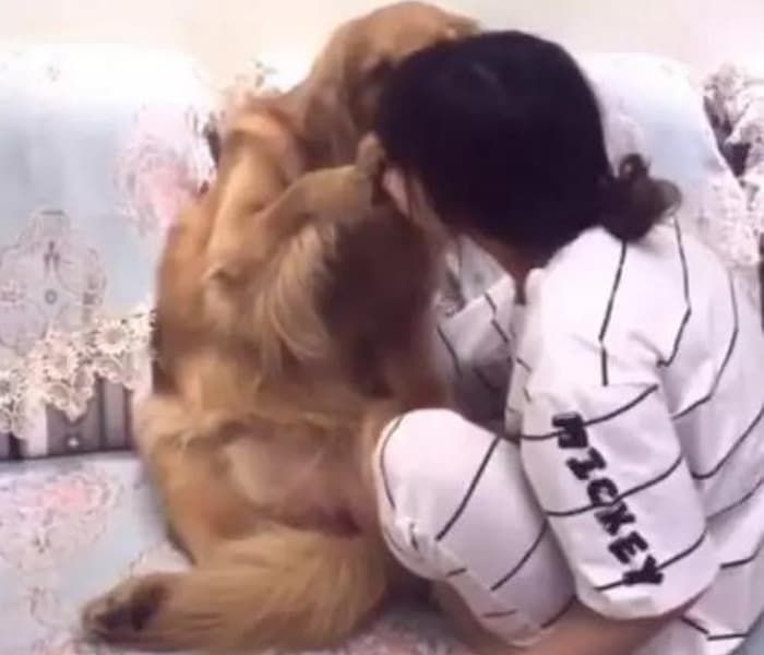 애니멀플래닛