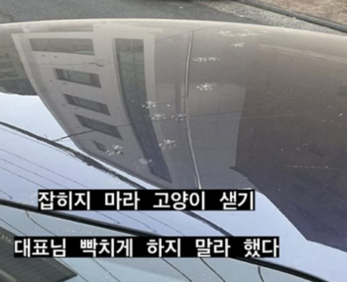 애니멀플래닛