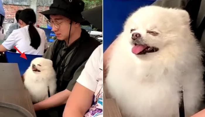 애니멀플래닛