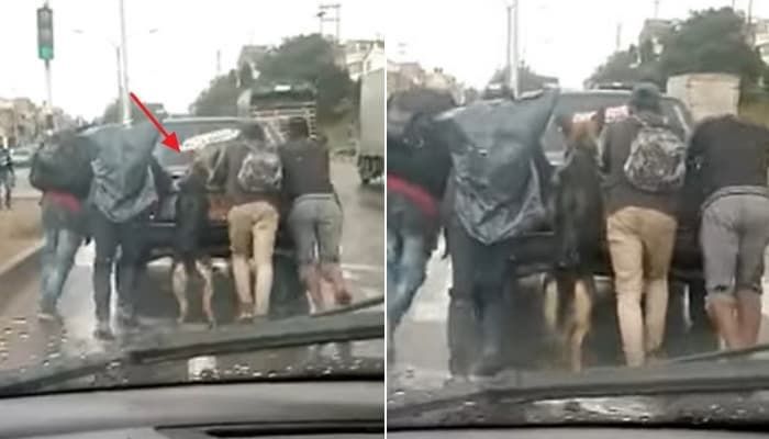 애니멀플래닛