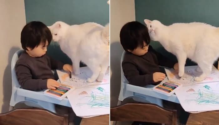 애니멀플래닛