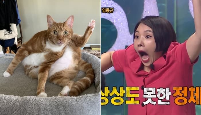 애니멀플래닛