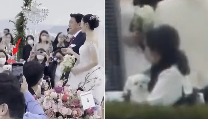 애니멀플래닛