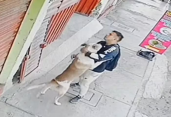 애니멀플래닛