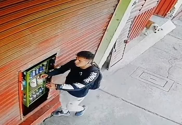애니멀플래닛