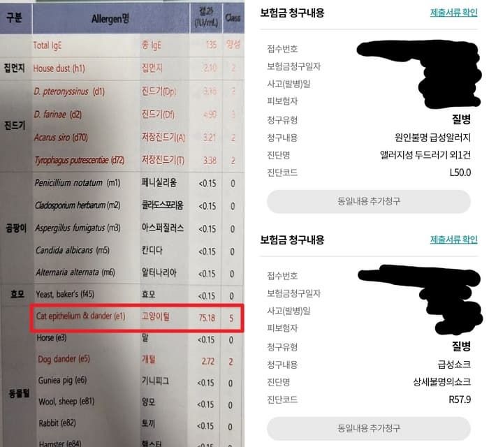 애니멀플래닛