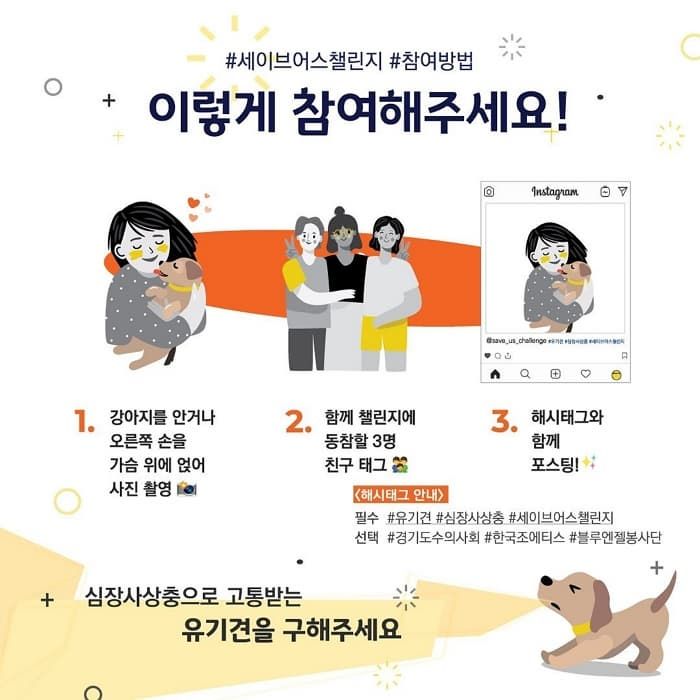 애니멀플래닛