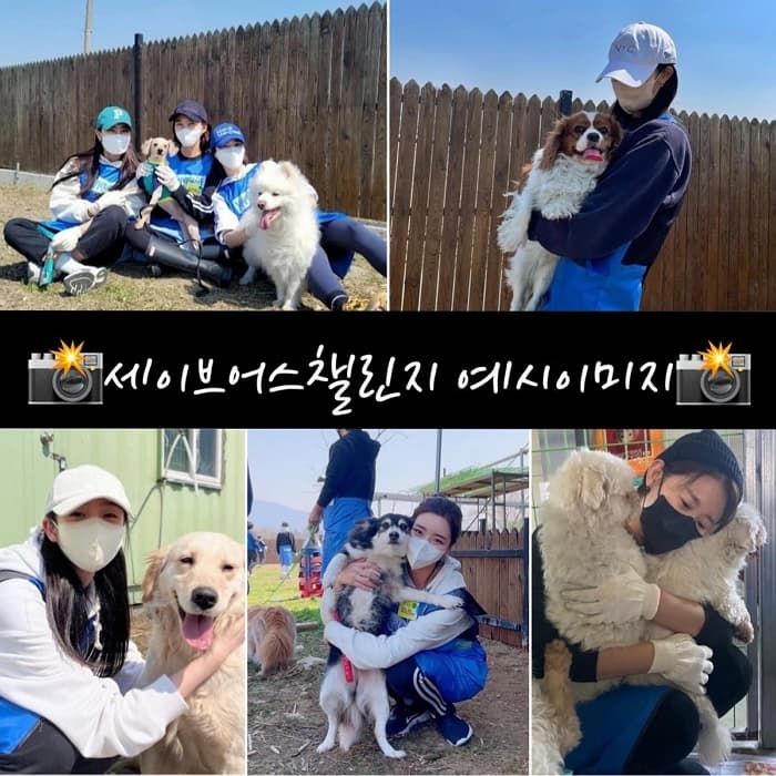 애니멀플래닛