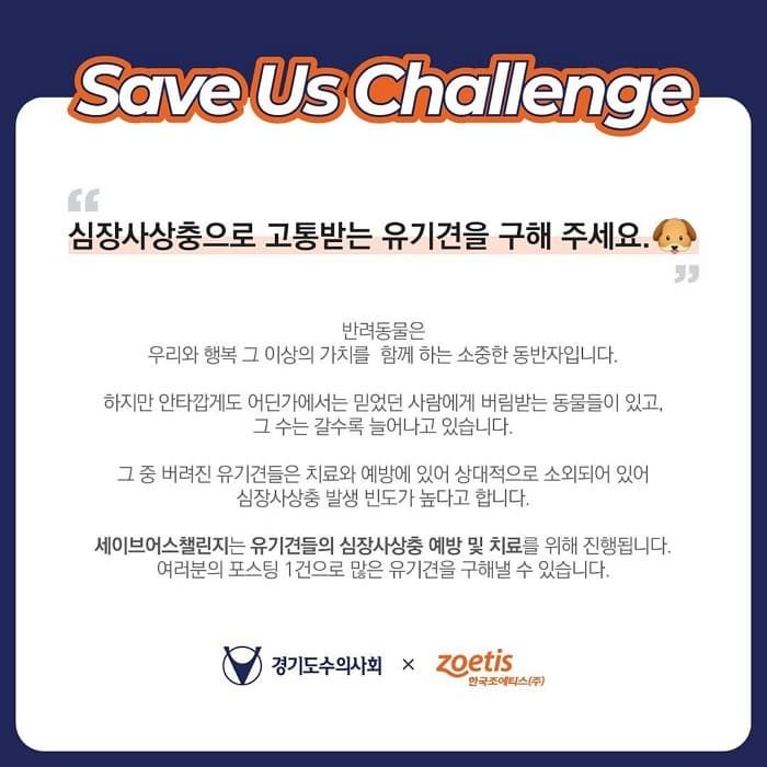 애니멀플래닛